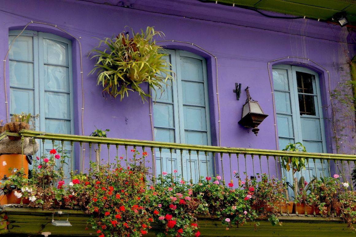 Bienenfreundlicher Balkon mit lilaner Hauswand
